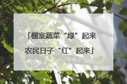 棚室蔬菜“绿”起来 农民日子“红”起来