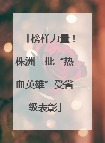 榜样力量！株洲一批“热血英雄”受省级表彰