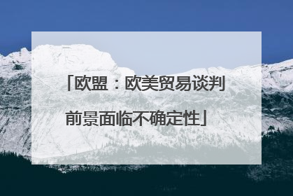 欧盟：欧美贸易谈判前景面临不确定性