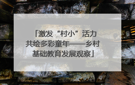 激发“村小”活力 共绘多彩童年——乡村基础教育发展观察