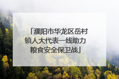 濮阳市华龙区岳村镇人大代表一线助力粮食安全保卫战