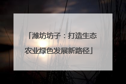 潍坊坊子：打造生态农业绿色发展新路径