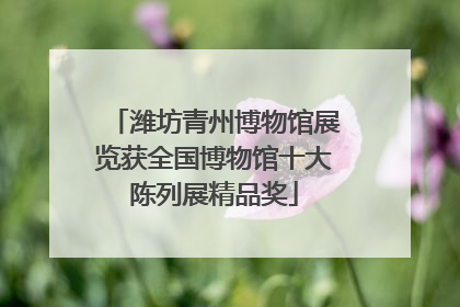 潍坊青州博物馆展览获全国博物馆十大陈列展精品奖