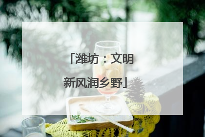 潍坊：文明新风润乡野