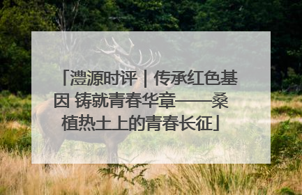 澧源时评｜传承红色基因 铸就青春华章——桑植热土上的青春长征