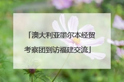 澳大利亚墨尔本经贸考察团到访福建交流