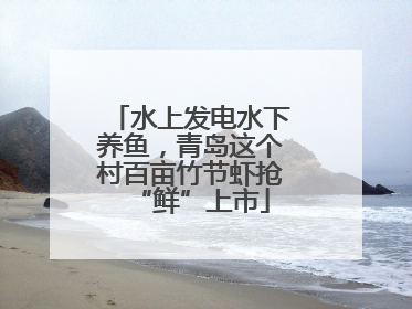 水上发电水下养鱼，青岛这个村百亩竹节虾抢“鲜”上市