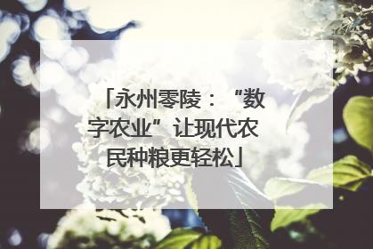 永州零陵：“数字农业”让现代农民种粮更轻松