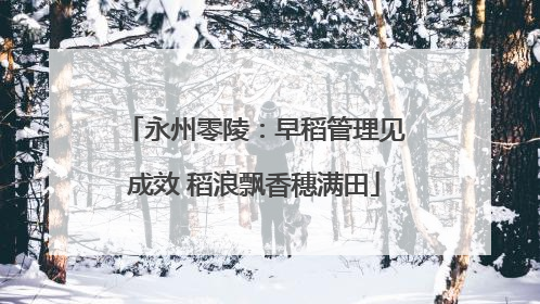 永州零陵：早稻管理见成效 稻浪飘香穗满田