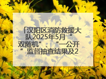 汉阳区消防救援大队2025年5月“双随机”、“一公开”监督抽查结果及2025年6月监督抽查任务公示