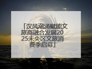 汉风潮涌赋能文旅商融合发展2025未央区文旅消费季启幕