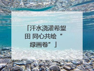 汗水浇灌希望田 同心共绘“绿画卷”