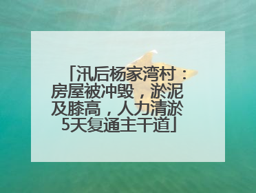 汛后杨家湾村：房屋被冲毁，淤泥及膝高，人力清淤5天复通主干道