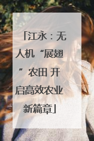 江永：无人机“展翅”农田 开启高效农业新篇章