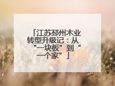 江苏邳州木业转型升级记：从“一块板”到“一个家”