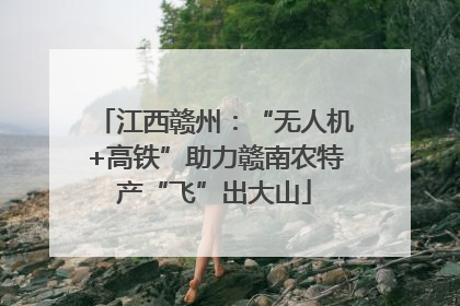 江西赣州：“无人机+高铁”助力赣南农特产“飞”出大山