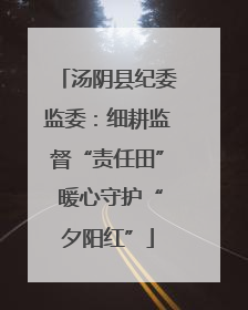 汤阴县纪委监委：细耕监督“责任田” 暖心守护“夕阳红”