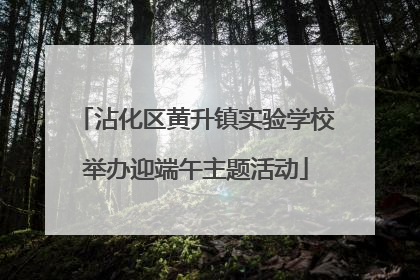 沾化区黄升镇实验学校举办迎端午主题活动