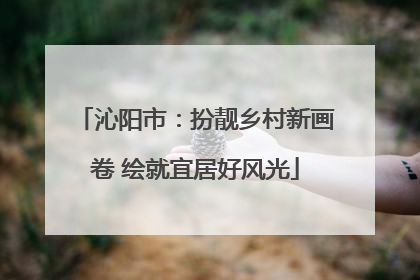 沁阳市：扮靓乡村新画卷 绘就宜居好风光