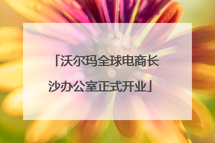 沃尔玛全球电商长沙办公室正式开业