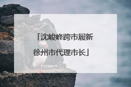 沈峻峰跨市履新徐州市代理市长