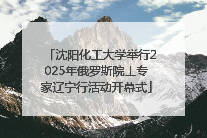 沈阳化工大学举行2025年俄罗斯院士专家辽宁行活动开幕式