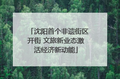 沈阳首个非遗街区开街 文旅新业态激活经济新动能