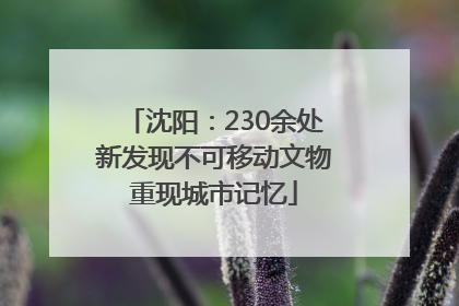 沈阳：230余处新发现不可移动文物重现城市记忆