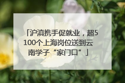 沪滇携手促就业，超5100个上海岗位送到云南学子“家门口”