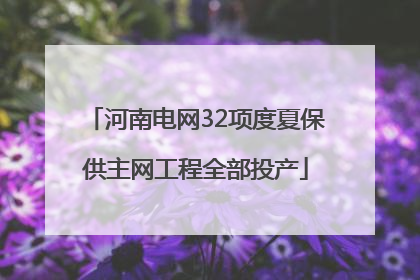 河南电网32项度夏保供主网工程全部投产