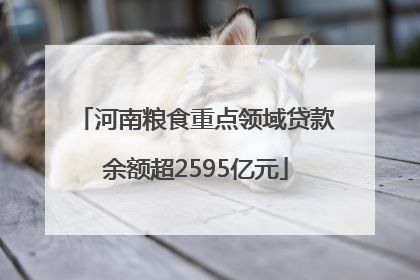 河南粮食重点领域贷款余额超2595亿元