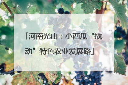 河南光山：小西瓜“撬动”特色农业发展路