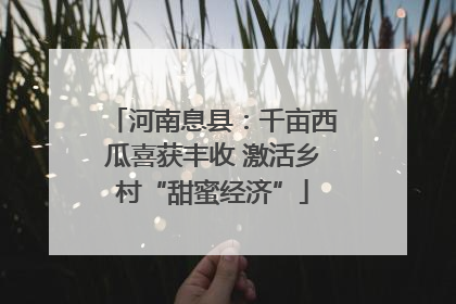 河南息县：千亩西瓜喜获丰收 激活乡村“甜蜜经济”