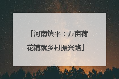 河南镇平：万亩荷花铺就乡村振兴路