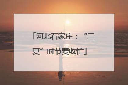 河北石家庄：“三夏”时节麦收忙