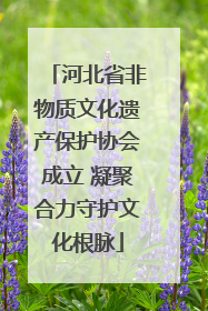 河北省非物质文化遗产保护协会成立 凝聚合力守护文化根脉