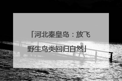 河北秦皇岛：放飞野生鸟类回归自然