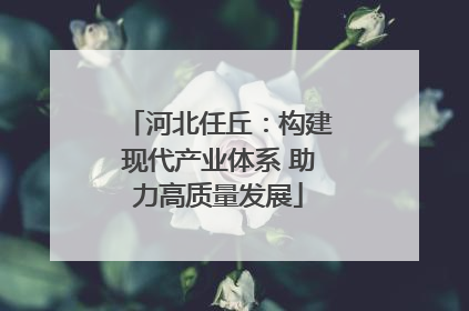 河北任丘：构建现代产业体系 助力高质量发展