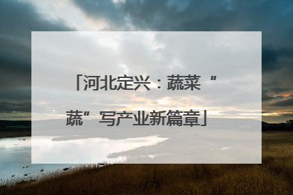 河北定兴：蔬菜“蔬”写产业新篇章