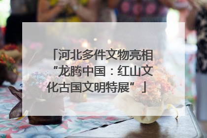 河北多件文物亮相“龙腾中国：红山文化古国文明特展”