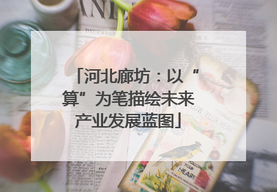 河北廊坊：以“算”为笔描绘未来产业发展蓝图