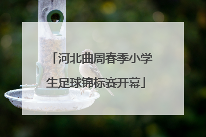 河北曲周春季小学生足球锦标赛开幕
