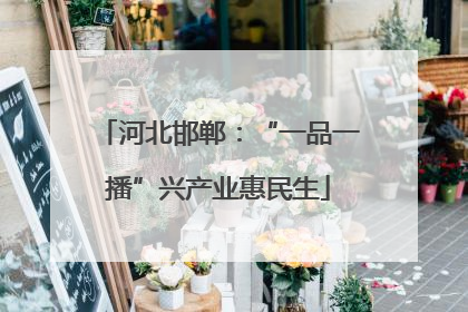 河北邯郸：“一品一播”兴产业惠民生