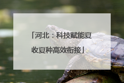 河北：科技赋能夏收夏种高效衔接
