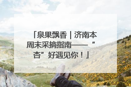 泉果飘香｜济南本周末采摘指南——“杏”好遇见你！