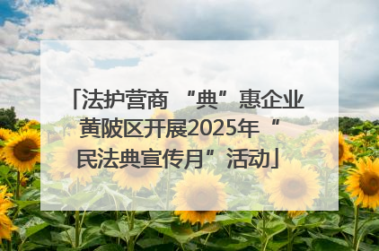 法护营商 “典”惠企业 黄陂区开展2025年“民法典宣传月”活动