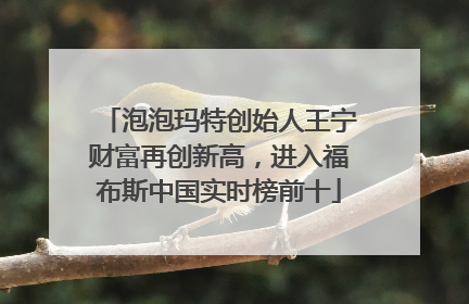 泡泡玛特创始人王宁财富再创新高，进入福布斯中国实时榜前十