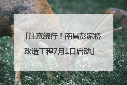 注意绕行！南昌彭家桥改造工程7月1日启动