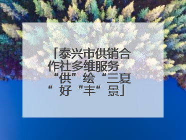 泰兴市供销合作社多维服务 “供”绘“三夏”好“丰”景