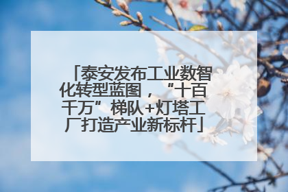 泰安发布工业数智化转型蓝图，“十百千万”梯队+灯塔工厂打造产业新标杆